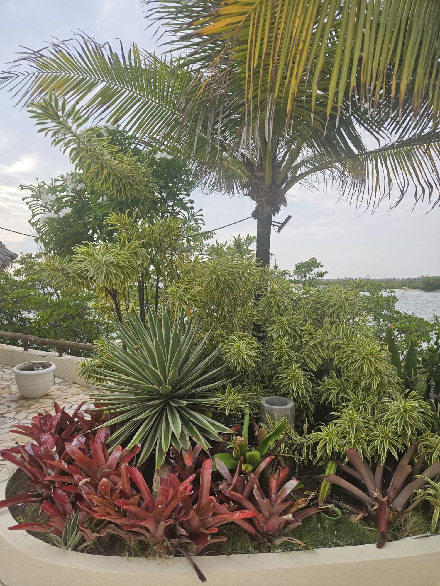 Malie Hotel Águas Belas Dış mekan fotoğraf